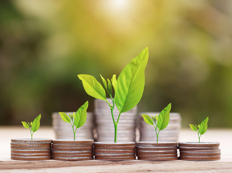 Business loans in chennai, Private loans in chennai, MSME loan in chennai, Mudhra loan in chennai, Mortgage loan in chennai,Purchase loan in chennai, Home loans in chennai, Personal loan in chennai